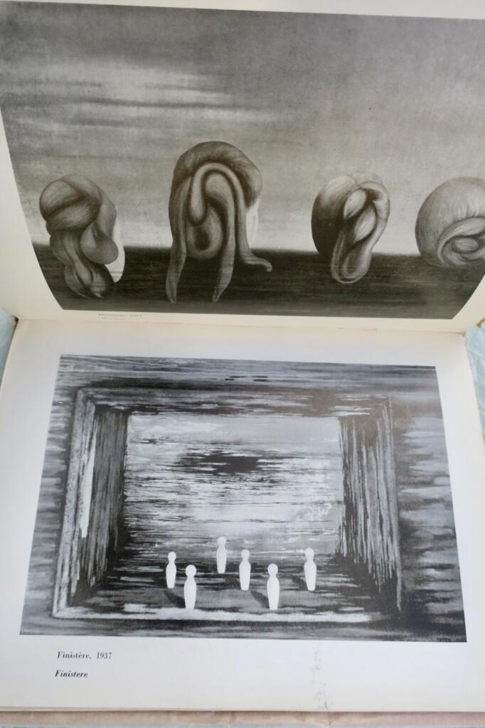Surrealist Artist Monograph: TOYEN