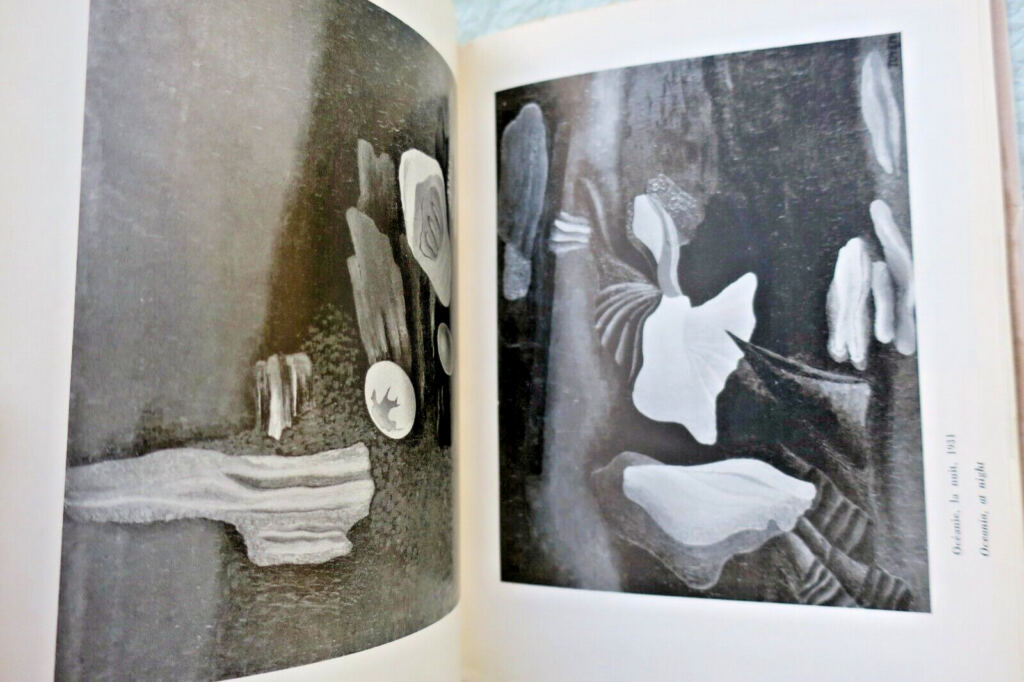 Surrealist Artist Monograph: TOYEN