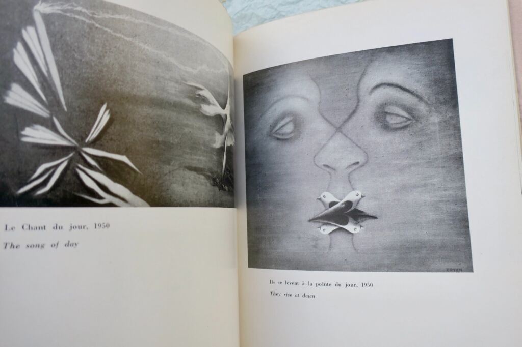 Surrealist Artist Monograph: TOYEN