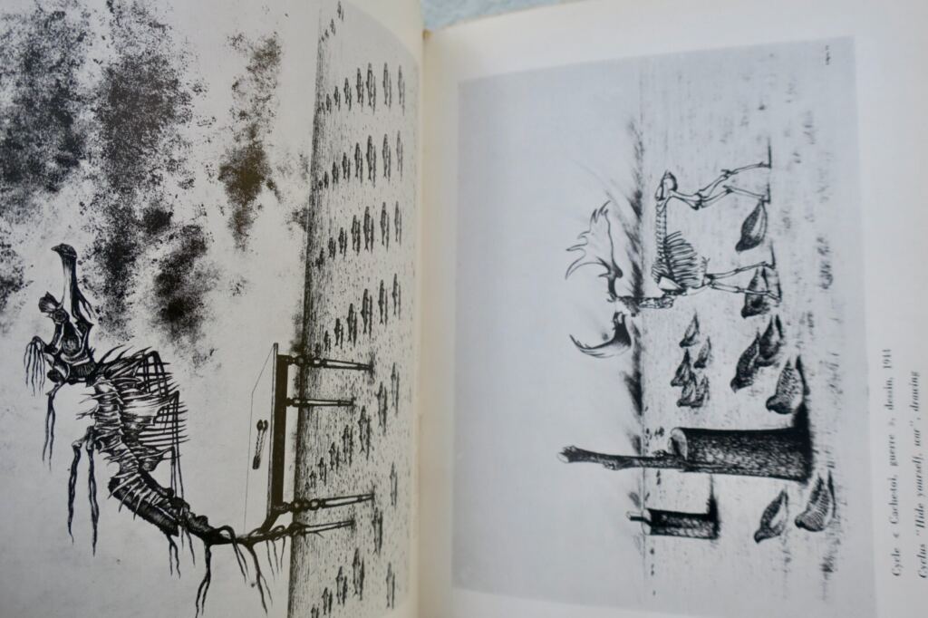 Surrealist Artist Monograph: TOYEN