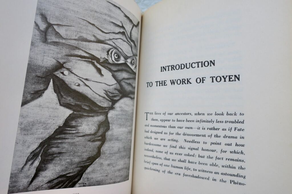 Surrealist Artist Monograph: TOYEN