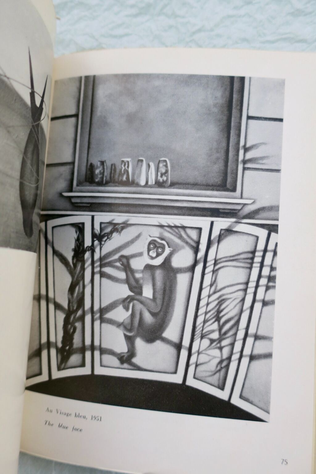Surrealist Artist Monograph: TOYEN