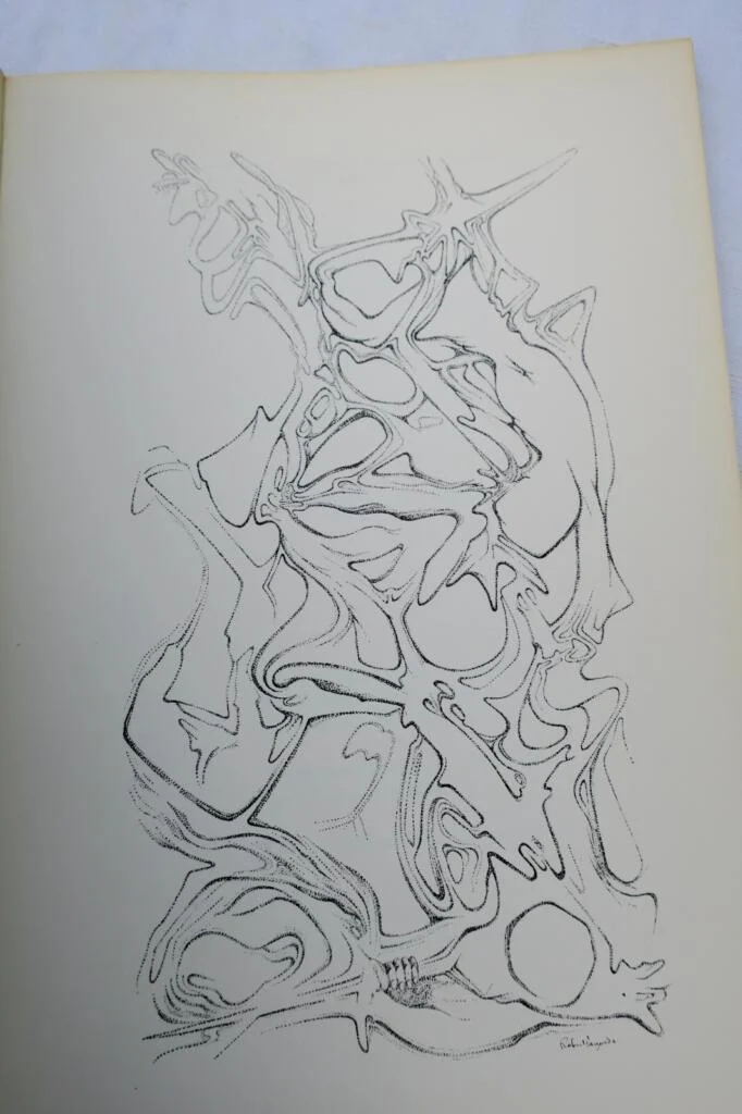 爱的芬芳