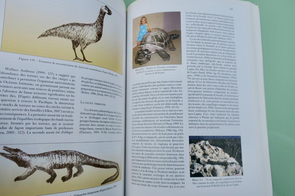 Erforschung der kaledonischen Archäologie