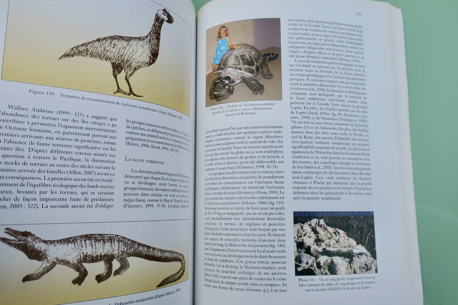 calédonie LAPITA CALEDONIEN . Archéologie d'un premier peuplement insulaire – Image 8