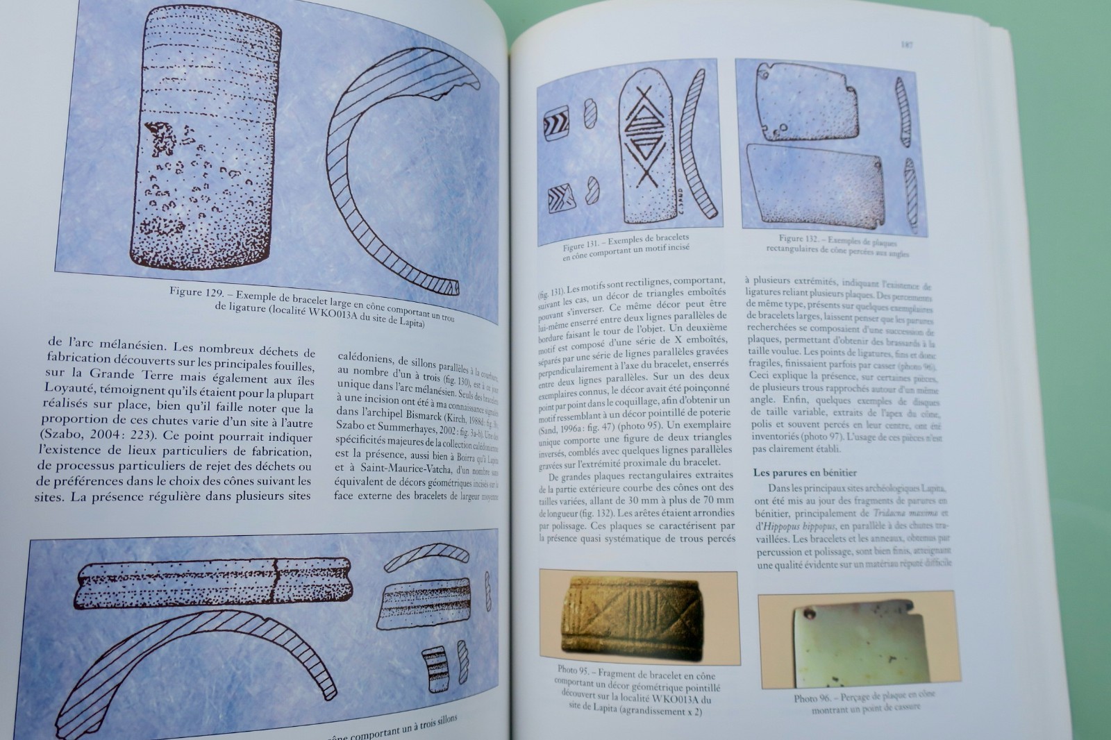 calédonie LAPITA CALEDONIEN . Archéologie d'un premier peuplement insulaire – Image 7