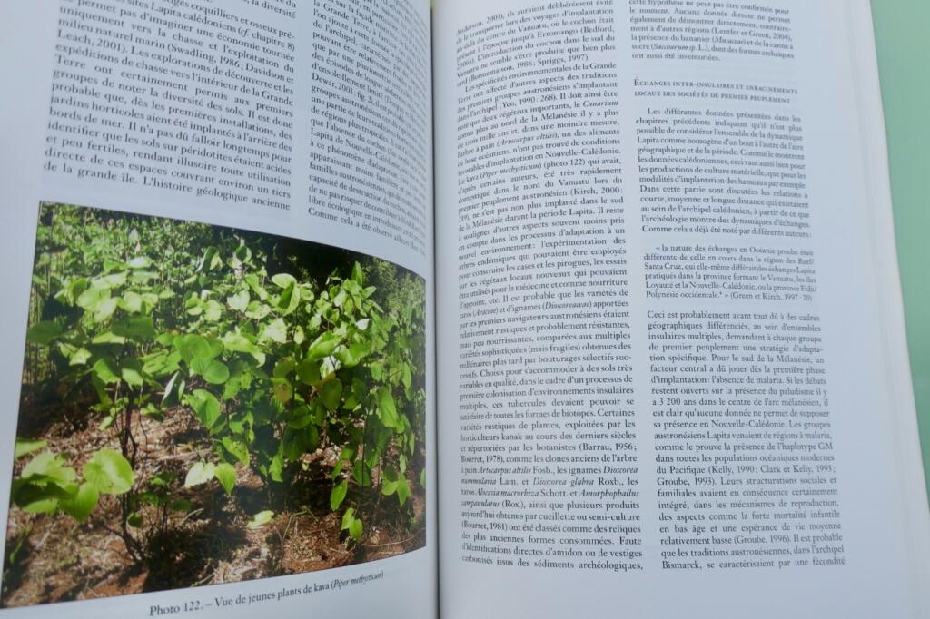 Erforschung der kaledonischen Archäologie