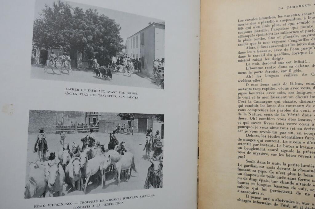 1938年のカマルグとその守護者たち