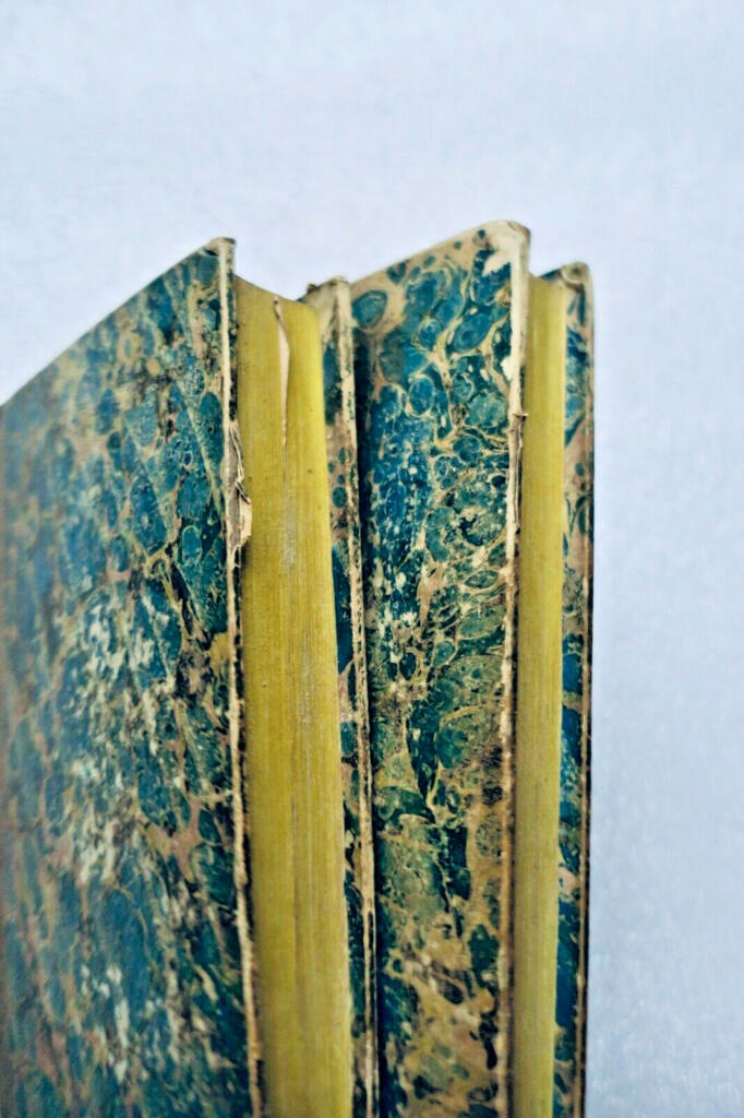 Einblicke in Bildung und Moral