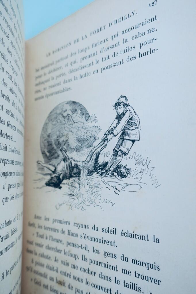 Hans Mertens - Adventure Novel