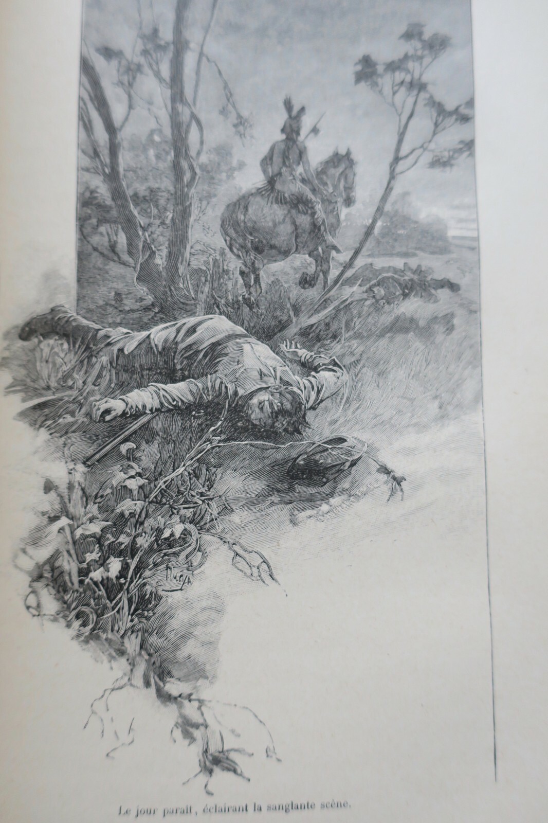 Biarts Kolibrital, 1896 - Image 3