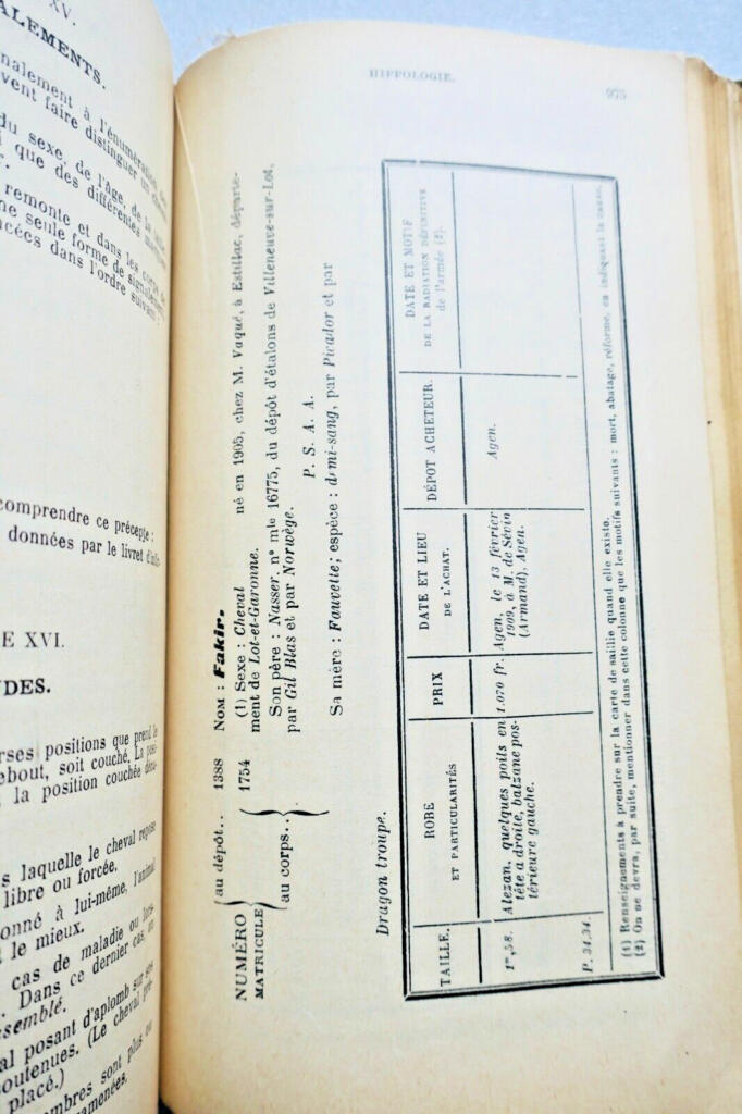 Cavalry MANUAL OF THE CAVALRY RANK (METROPOLITAN REGIMENTS) FOR USE 1935
