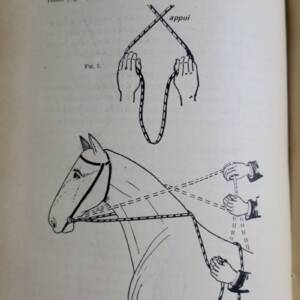 CAVALERIE Revue – Vingt-septième année – Tome II : juillet à décembre 1911