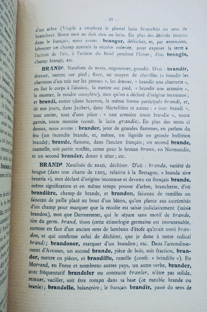 celte Pierre Malvezin Dictionnaire des racines celtiques / mots latins