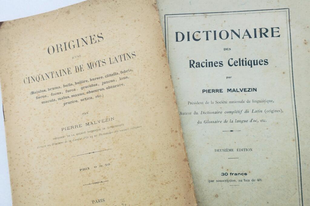 celte Pierre Malvezin Dictionnaire des racines celtiques / mots latins