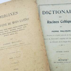 celte Pierre Malvezin Dictionnaire des racines celtiques / mots latins