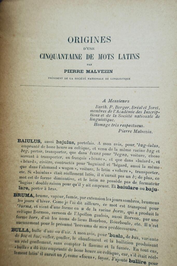 celte Pierre Malvezin Dictionnaire des racines celtiques / mots latins