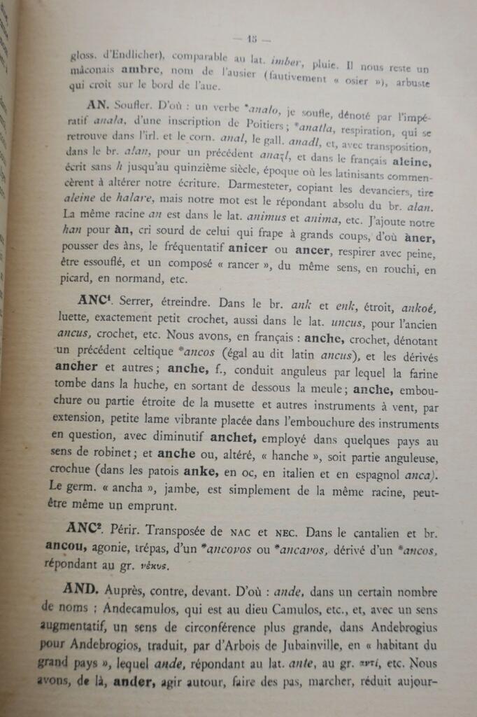 celte Pierre Malvezin Dictionnaire des racines celtiques / mots latins