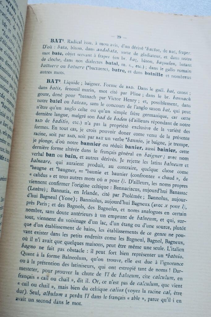 celte Pierre Malvezin Dictionnaire des racines celtiques / mots latins