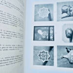 Manzi Collection: Ancient European and Oriental Ceramics