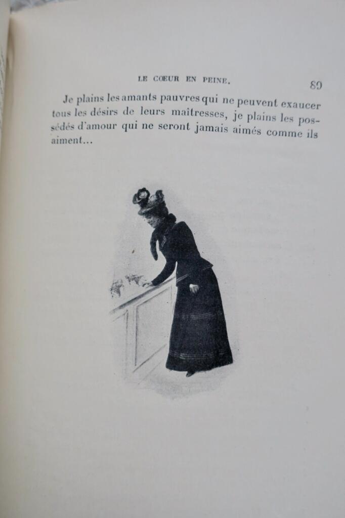 Unpublished novel with naturalistic illustrations