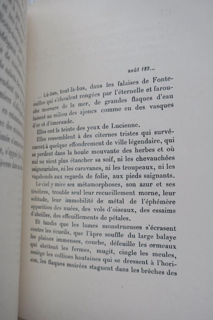 Unpublished novel with naturalistic illustrations