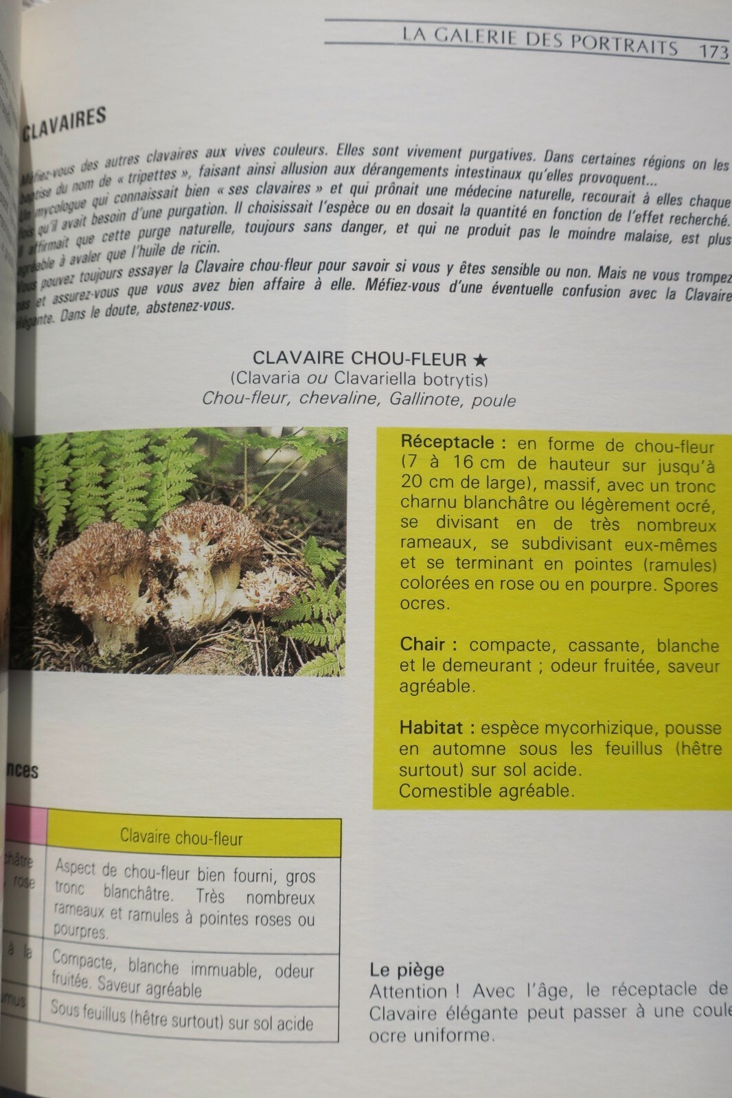 Mushroom Guide: Identification, Cultivation & Cooking - Image 4