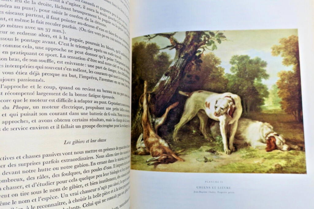 Luxuriöses Jagd-Enzyklopädie mit seltenen Illustrationen