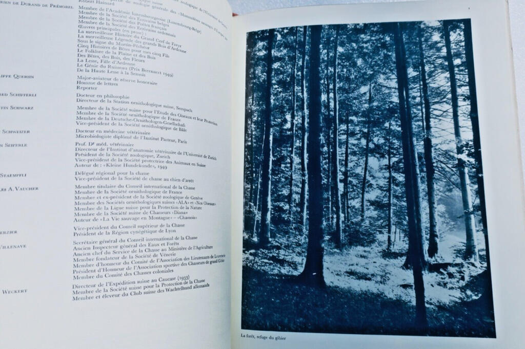 Luxuriöses Jagd-Enzyklopädie mit seltenen Illustrationen