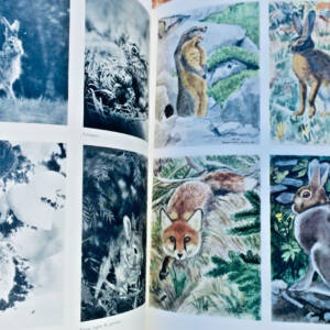 Chasse de Boilambert Le grand livre de la chasse et de la nature