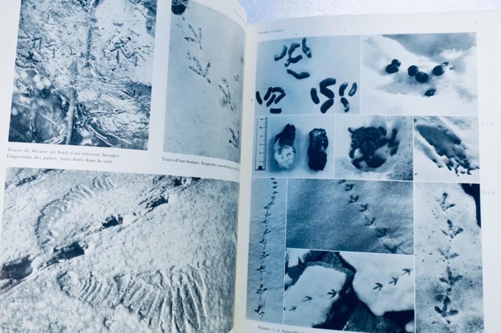 Luxuriöses Jagd-Enzyklopädie mit seltenen Illustrationen