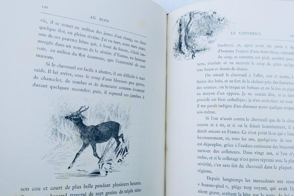 chasse LACROIX-DANLIARD Au bois légendes et études de moeurs sur les quadrupèdes