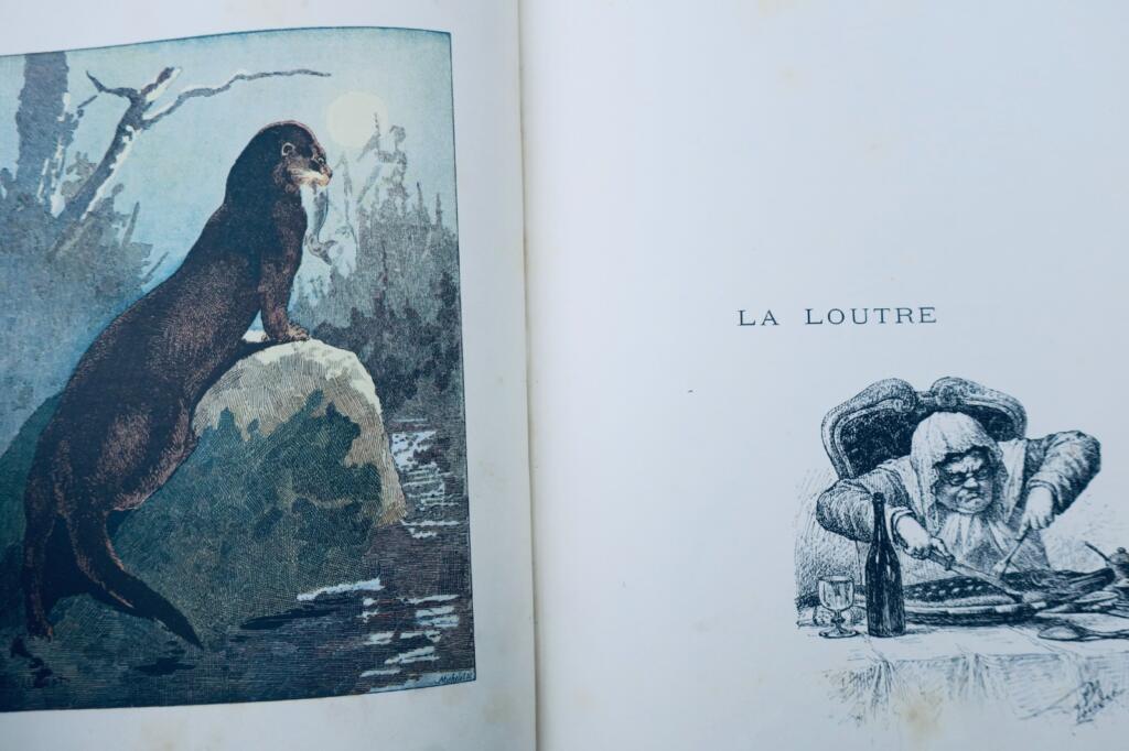 chasse LACROIX-DANLIARD Au bois légendes et études de moeurs sur les quadrupèdes