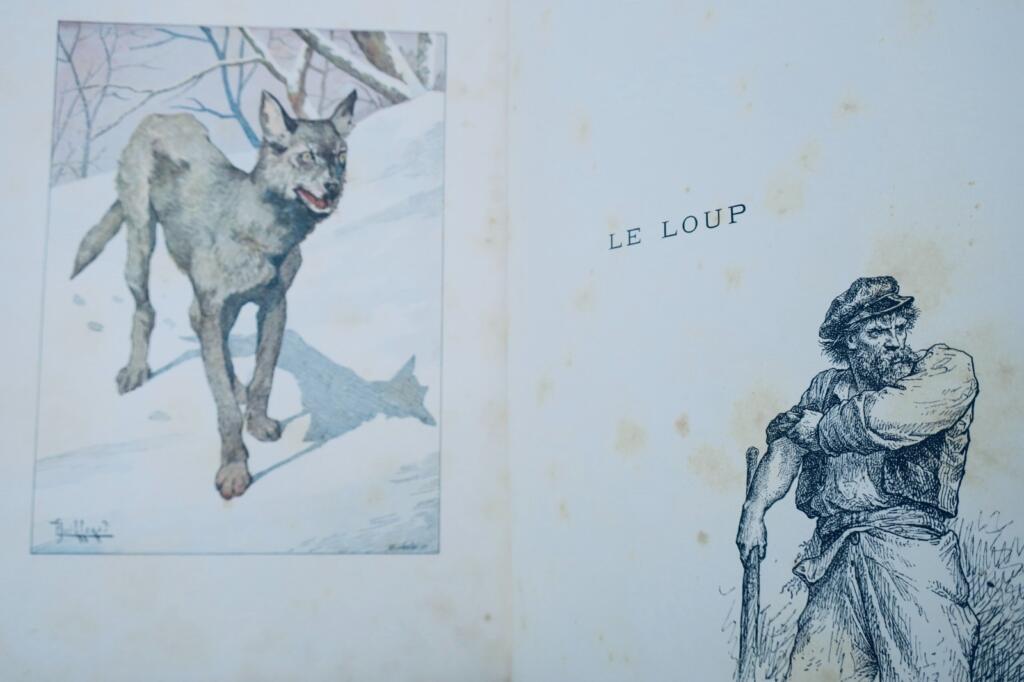 chasse LACROIX-DANLIARD Au bois légendes et études de moeurs sur les quadrupèdes