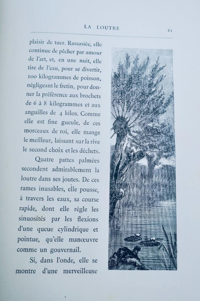 chasse LACROIX-DANLIARD Au bois légendes et études de moeurs sur les quadrupèdes