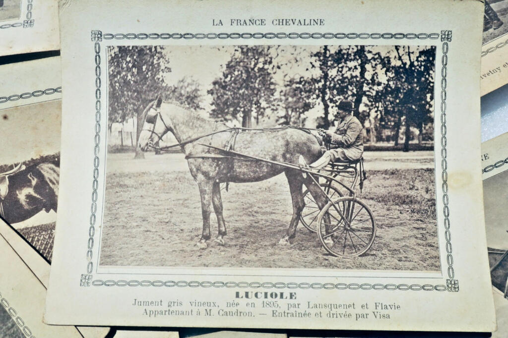 Französische Pferdereferenz: 194 Pferdekarten