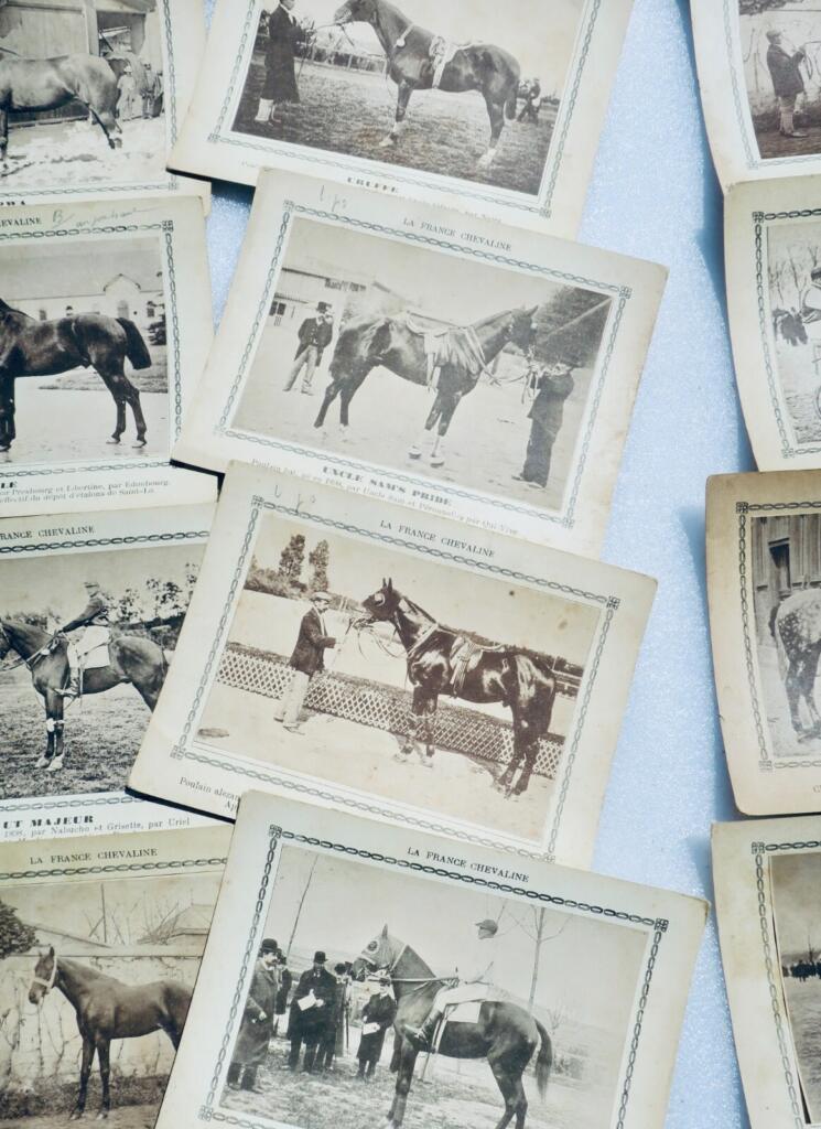 Französische Pferdereferenz: 194 Pferdekarten