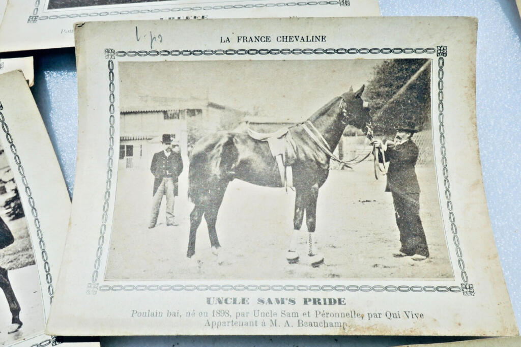 Französische Pferdereferenz: 194 Pferdekarten