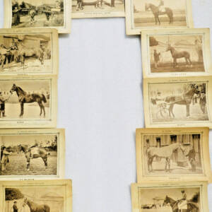 cheval COURSE CONCOURT La France chevaline 194 cartes