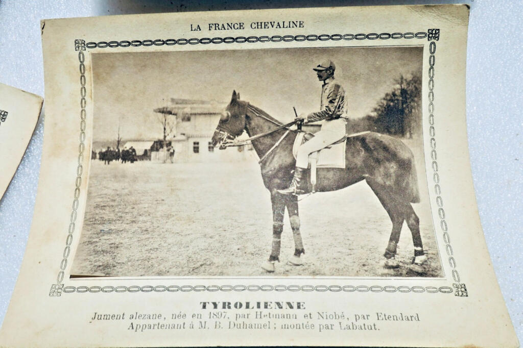 Französische Pferdereferenz: 194 Pferdekarten