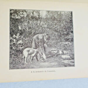 Chien GERSBACH R Manuel de dressage des chiens de police