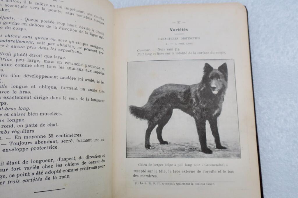 Police Dog Training Manual, circa 1920