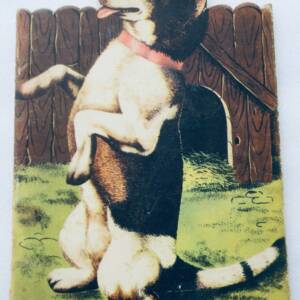 chien TOBY FINCK & FILS