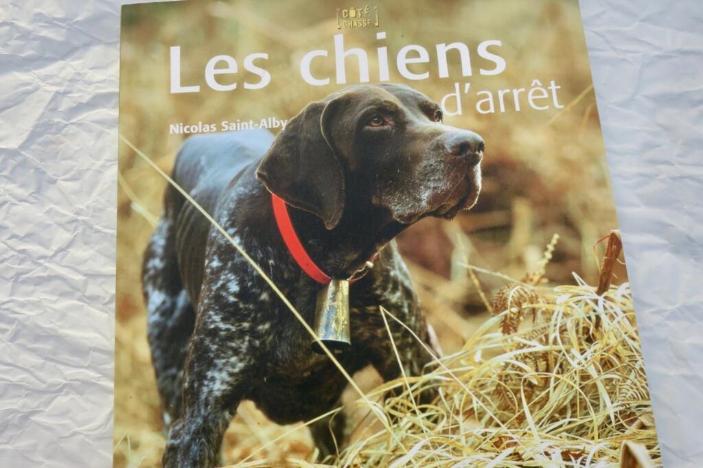 Überblick über Jagdhunde