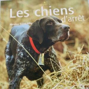 chiens d'arrêt côté chasse