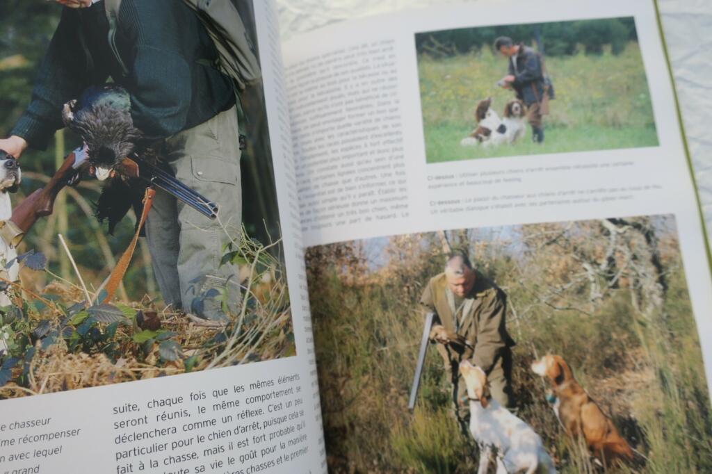Überblick über Jagdhunde