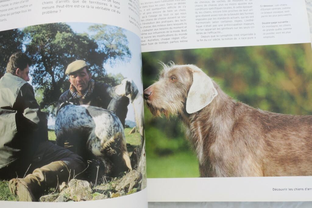 Überblick über Jagdhunde