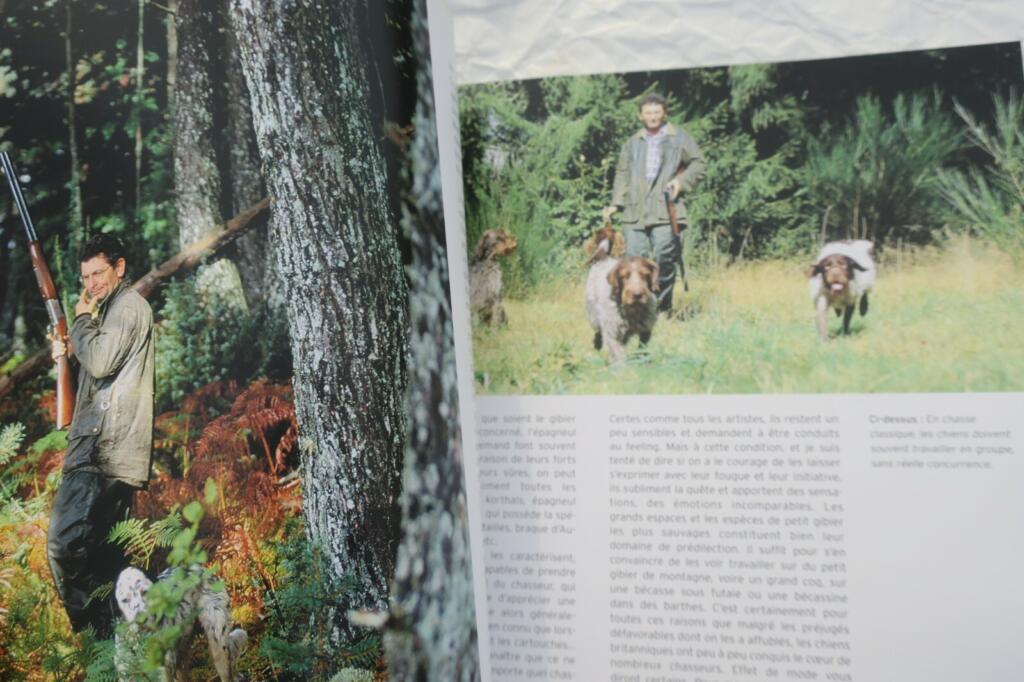 Überblick über Jagdhunde