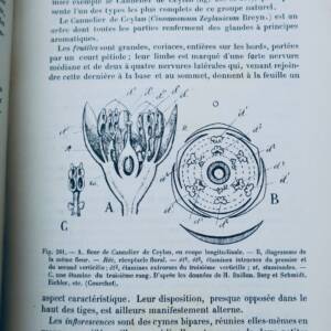 chimie COURCHET Traité de Botanique 1897
