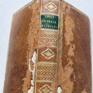 Choix de beaux exemples tirés des auteurs anciens et modernes pour l'instruction